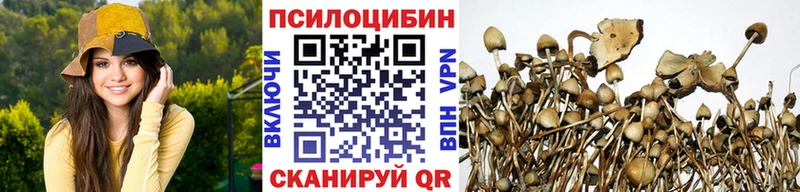 Купить  Павловский Посад  Псилоцибиновые грибы мухоморы 